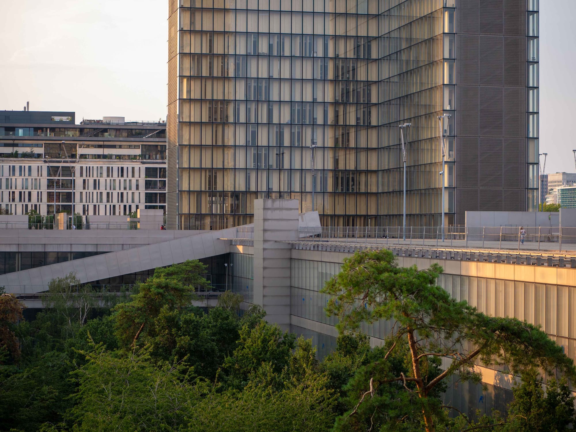 Jardin, terrasse et tour des Temps du site François-Mitterrand de la Bibliothèque nationale de France, à Paris, le 31 août 2024.